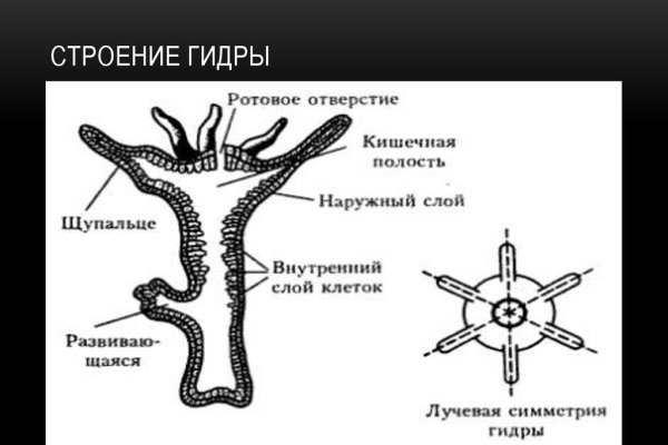 Удалился аккаунт кракен