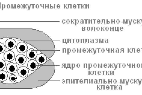 Ссылки даркнет