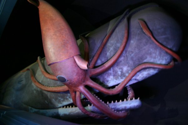 Кракен вход магазин kraken17ate pro